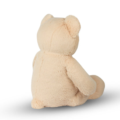 Theo the Teddy Bear
